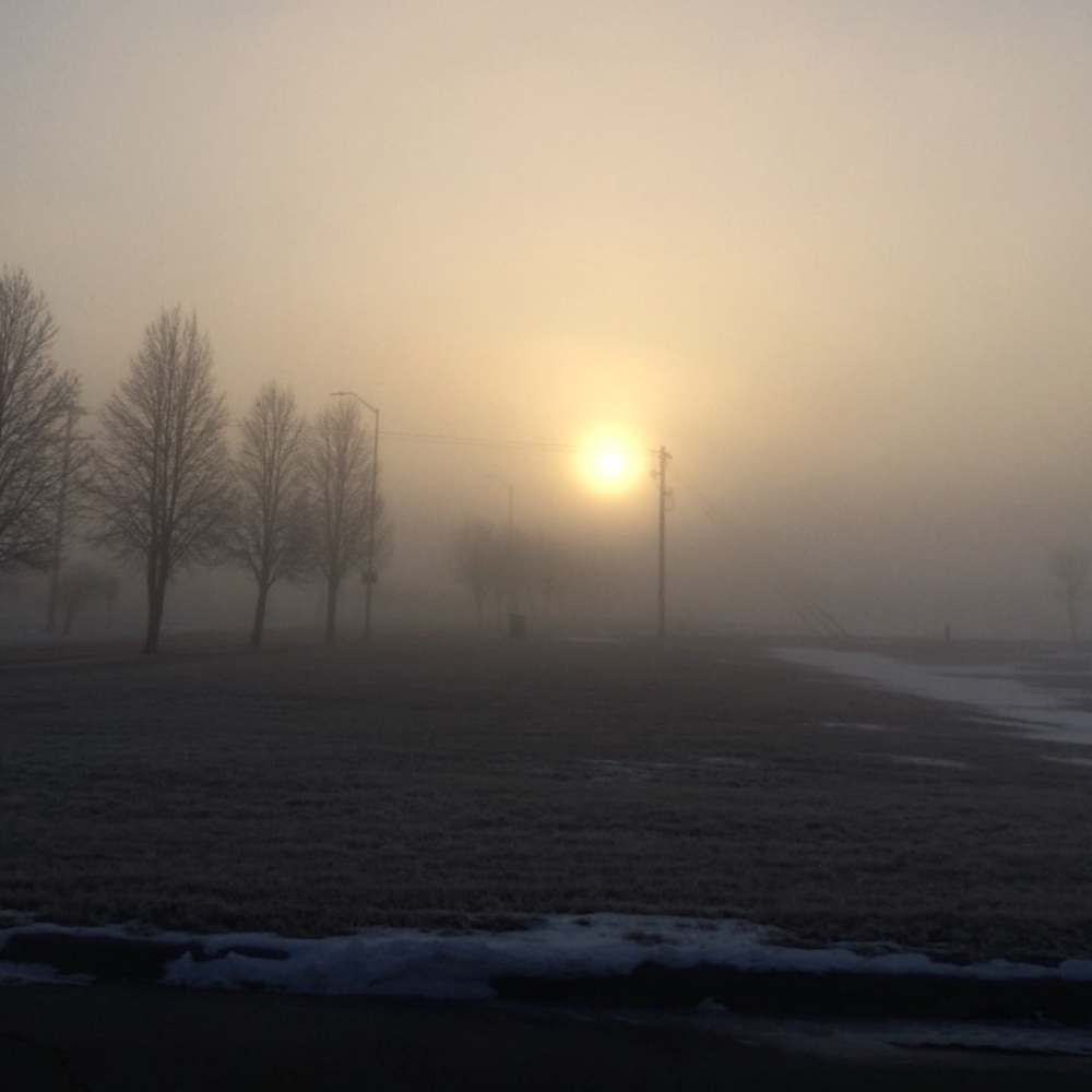 Fellow costumer, Jade